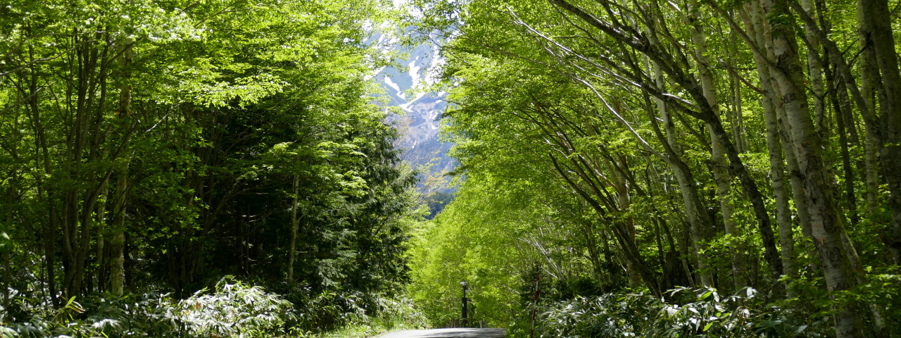 郷土食ひのきや